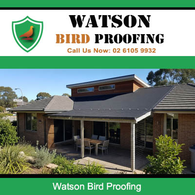 Bird proofing protection installed on residential home outdoor area in Watson suburb